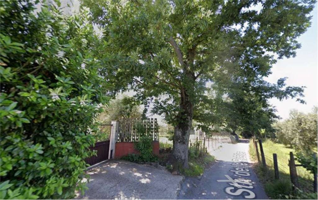 immagine annuncio 2 di 7