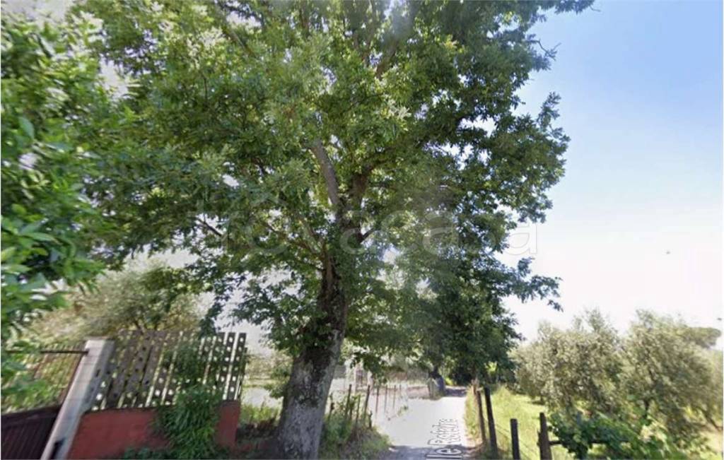 immagine annuncio 3 di 7