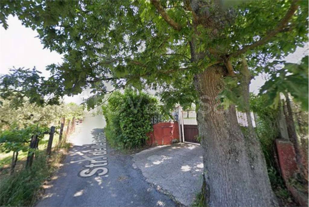 immagine annuncio 4 di 7