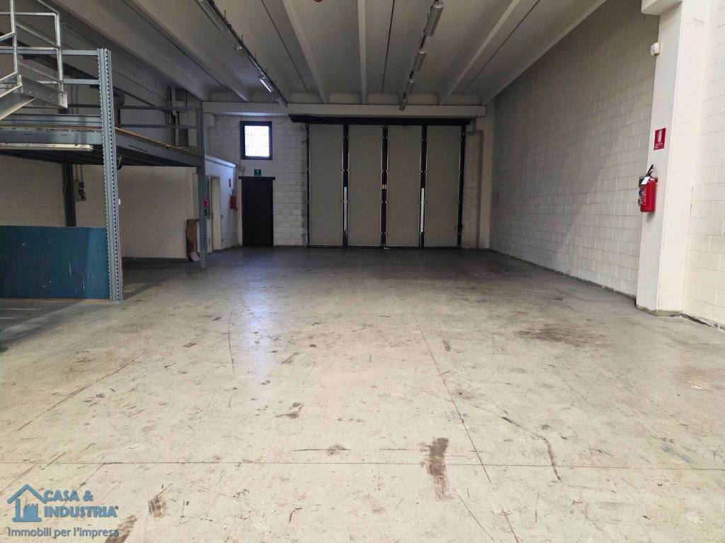 immagine annuncio 12 di 15