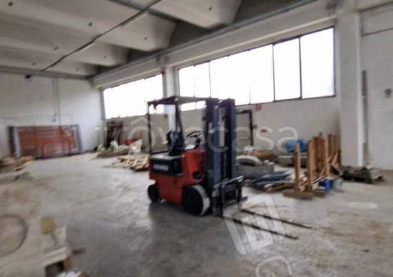 immagine annuncio 2 di 14