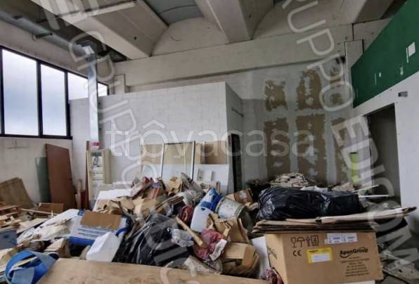 immagine annuncio 3 di 14