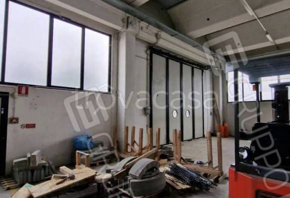 immagine annuncio 4 di 14