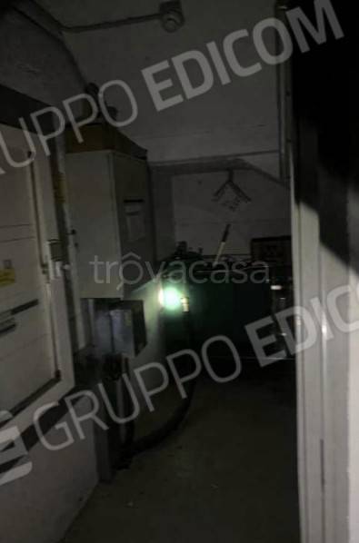 immagine annuncio 7 di 14