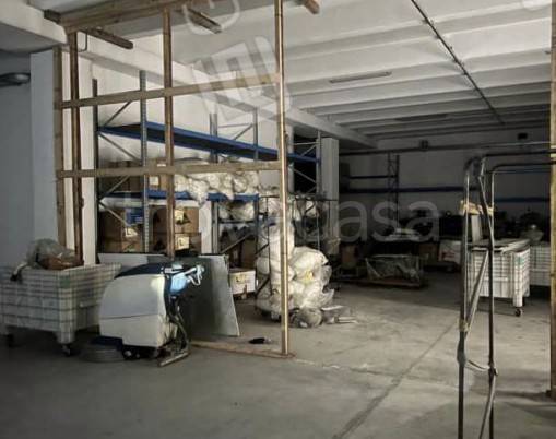 immagine annuncio 9 di 14