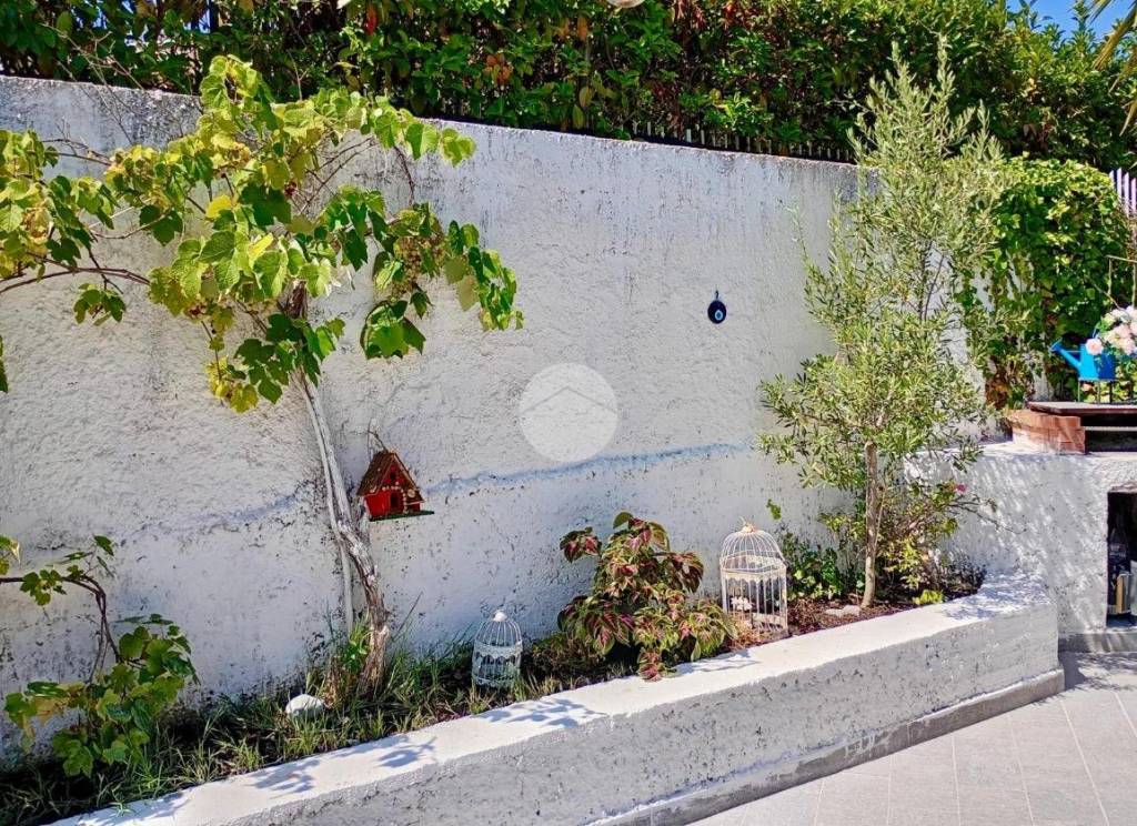 immagine annuncio 9 di 12