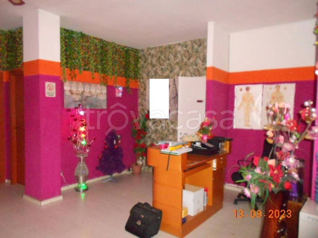 immagine annuncio 2 di 13