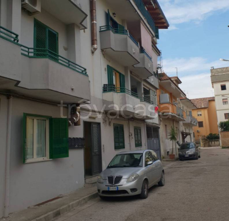 immagine annuncio 9 di 11