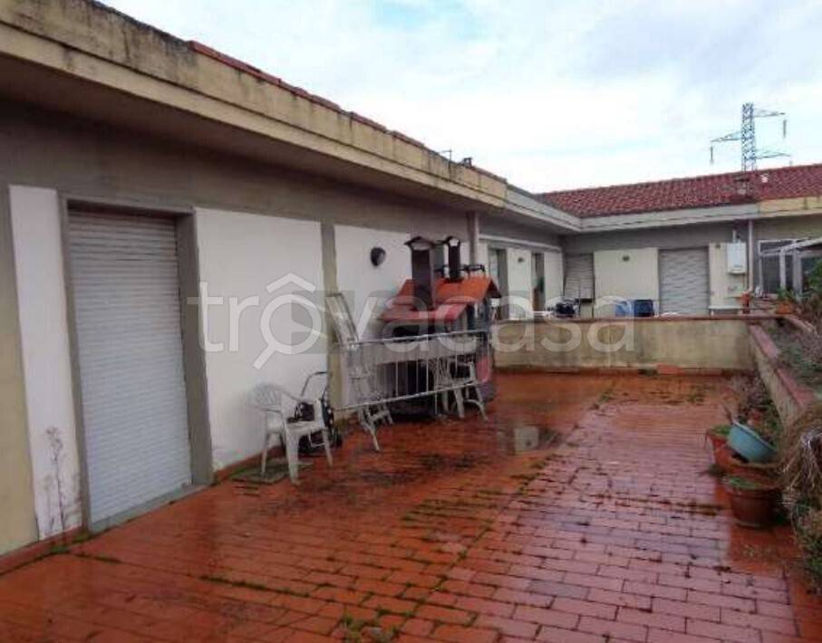 immagine annuncio 3 di 6