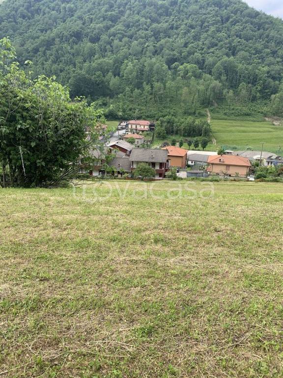 immagine annuncio 4 di 8