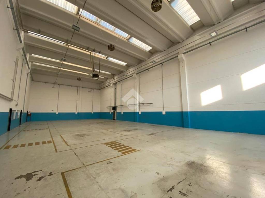 immagine annuncio 2 di 13