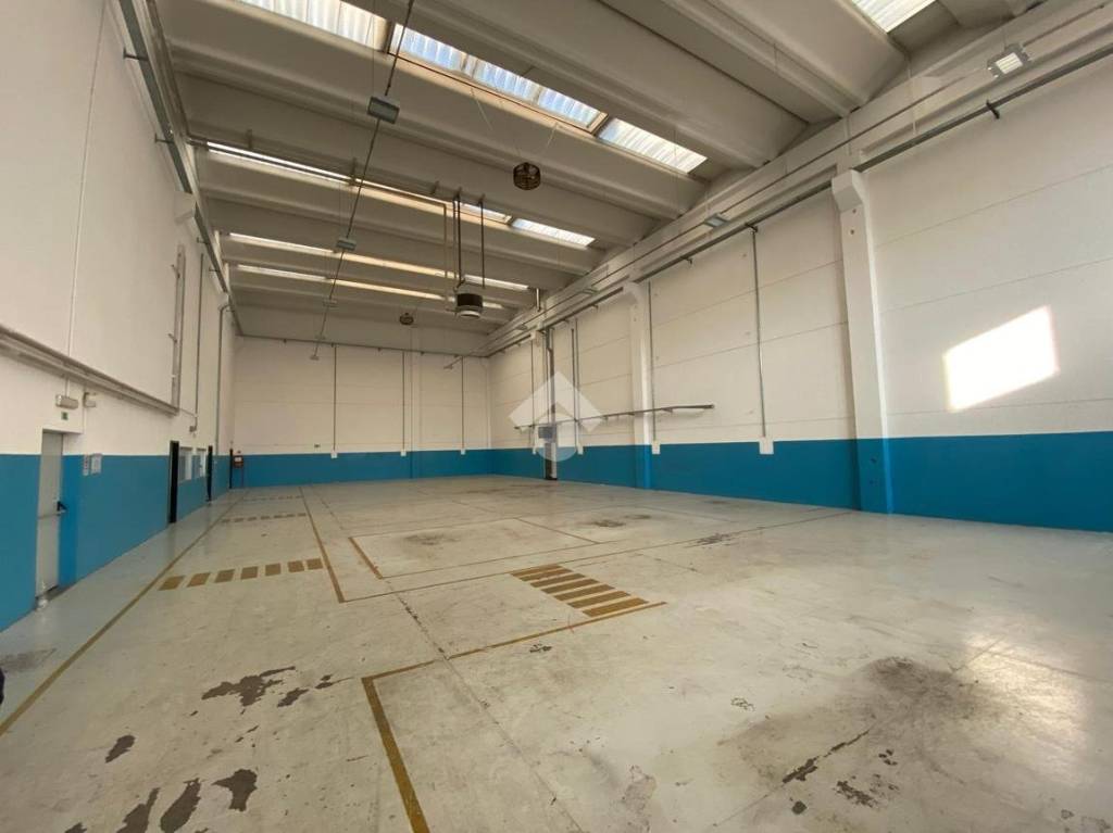 immagine annuncio 3 di 13