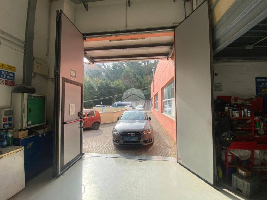 immagine annuncio 4 di 15