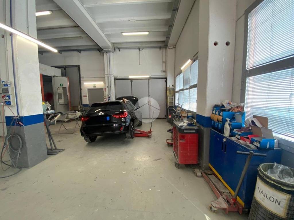 immagine annuncio 5 di 15