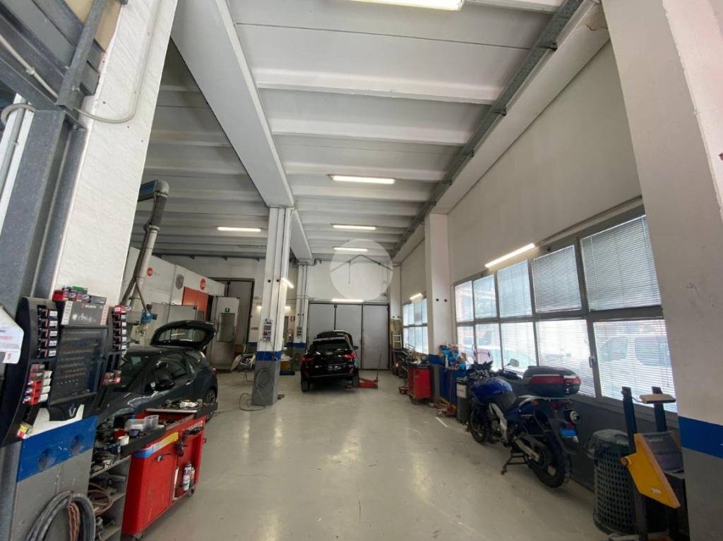 immagine annuncio 6 di 15