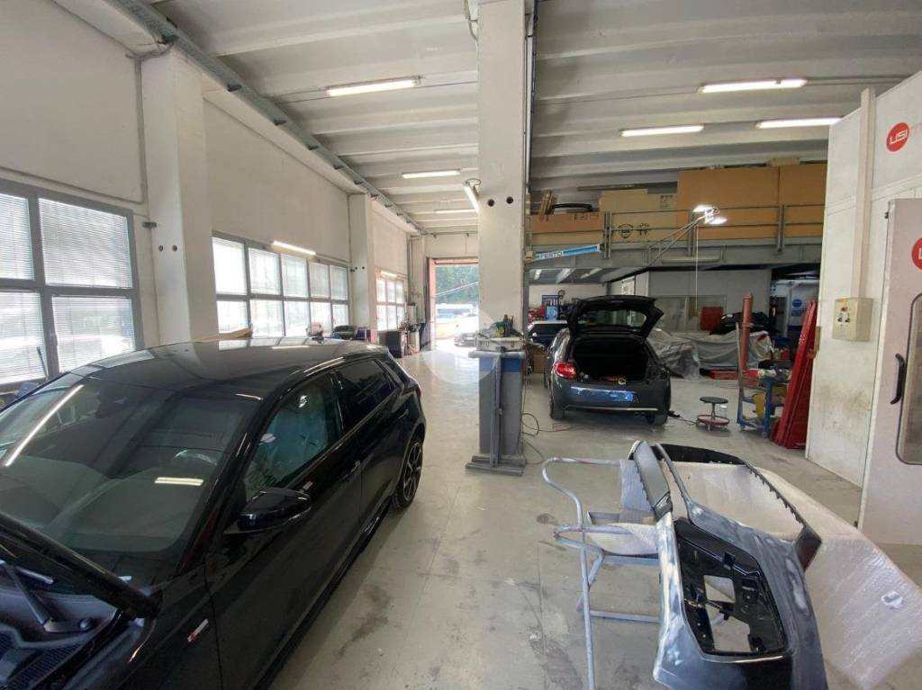 immagine annuncio 9 di 15