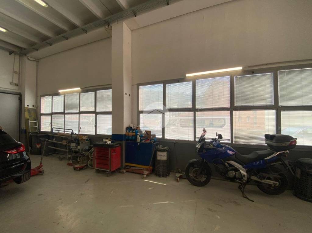 immagine annuncio 11 di 15