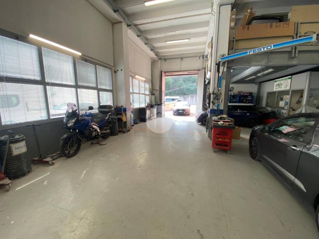 immagine annuncio 12 di 15