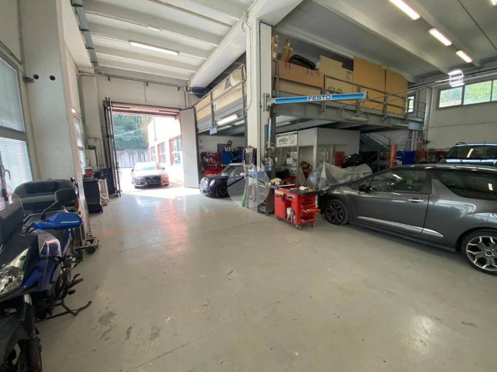 immagine annuncio 13 di 15