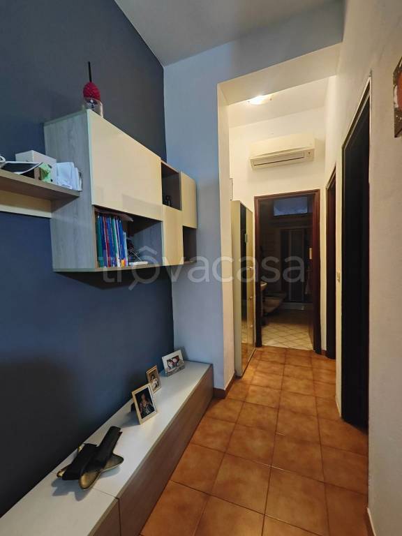 immagine annuncio 9 di 14