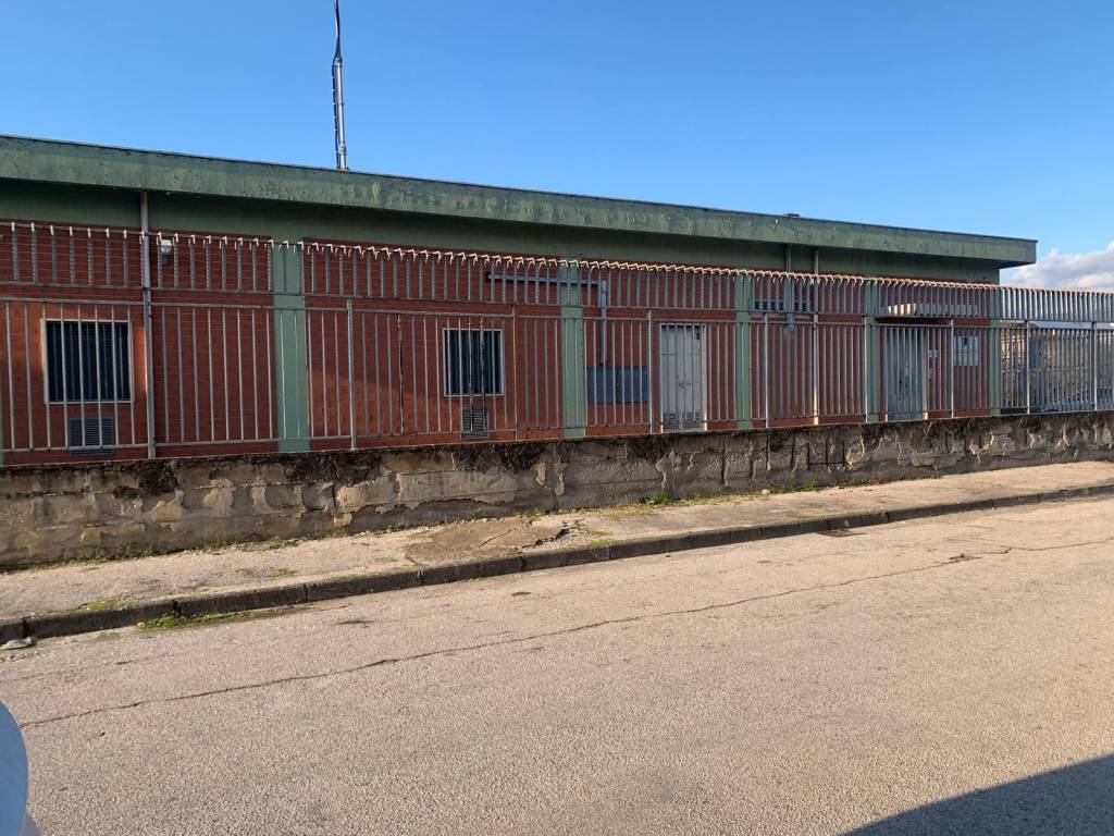 immagine annuncio 2 di 6