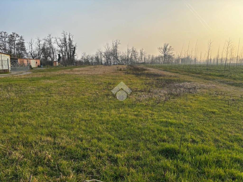 immagine annuncio 1 di 8