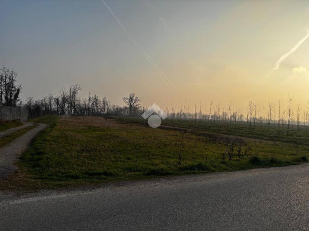 immagine annuncio 3 di 8