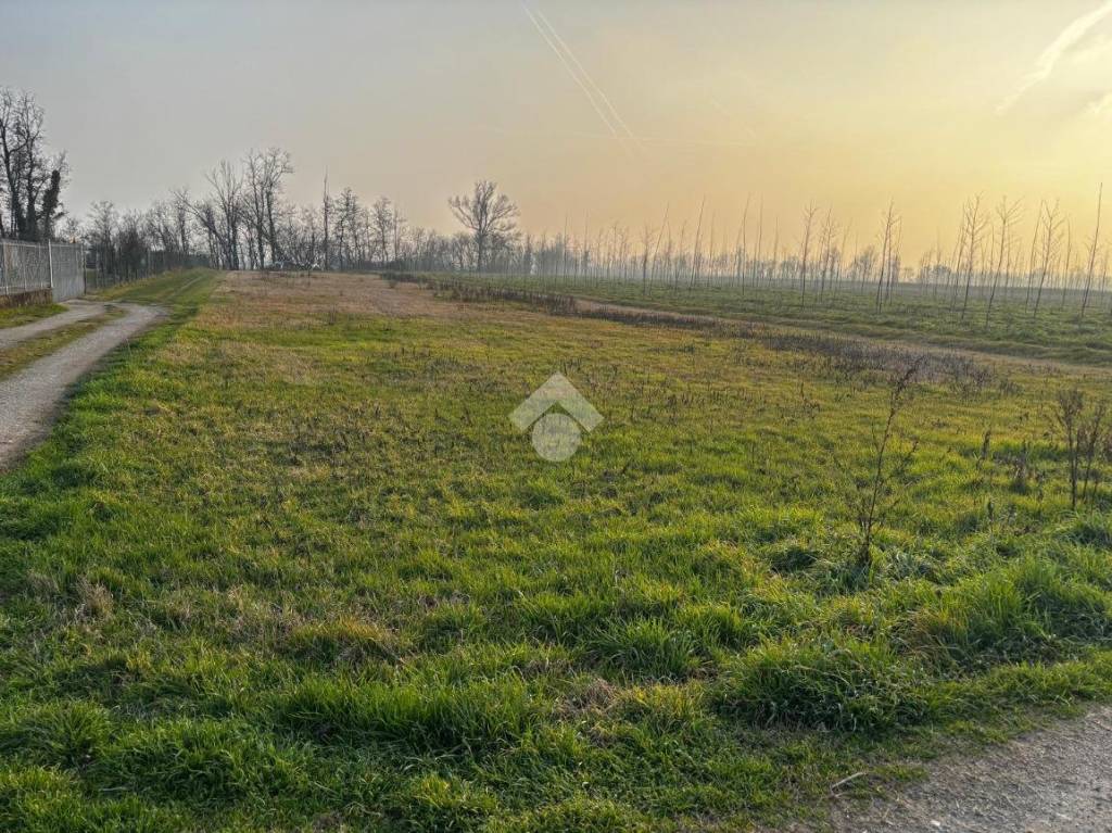 immagine annuncio 5 di 8