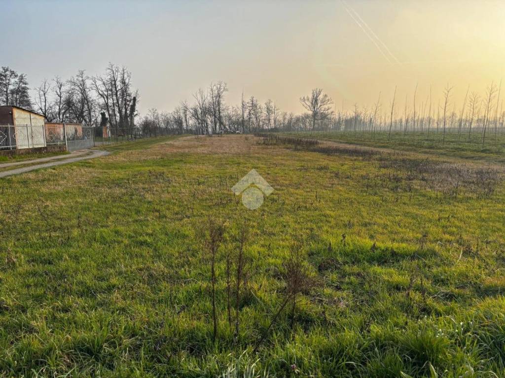 immagine annuncio 7 di 8