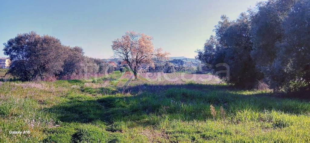 immagine annuncio 2 di 12