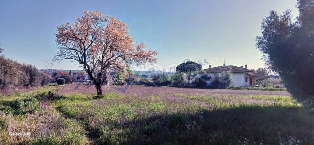 immagine annuncio 3 di 12