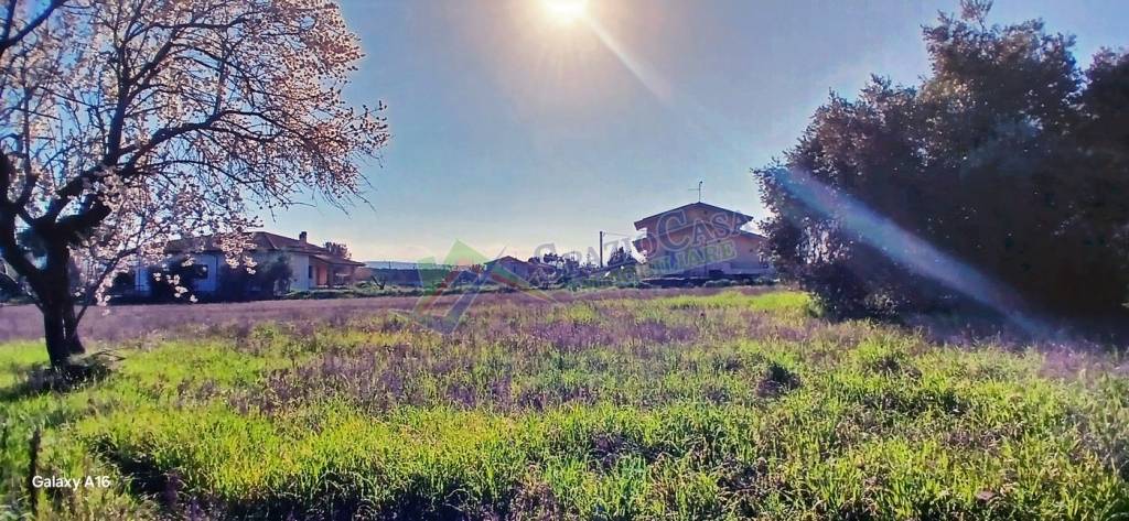 immagine annuncio 6 di 12