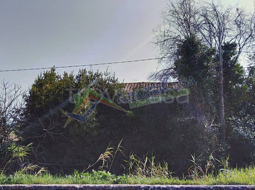 immagine annuncio 8 di 12