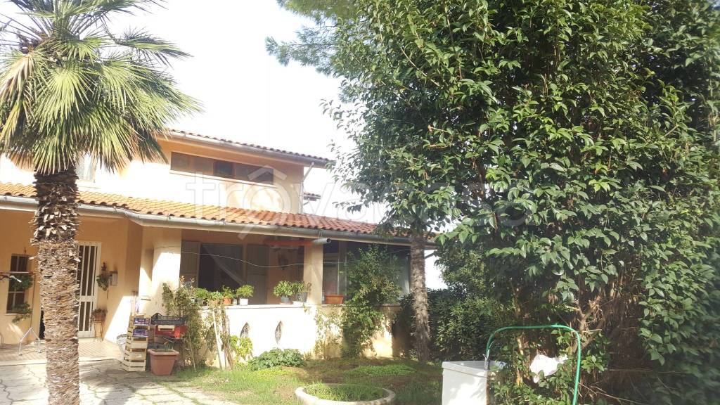 immagine annuncio 1 di 2