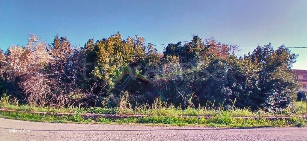 immagine annuncio 9 di 12