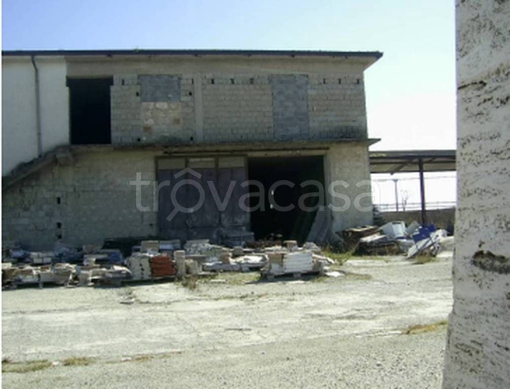 immagine annuncio 8 di 11