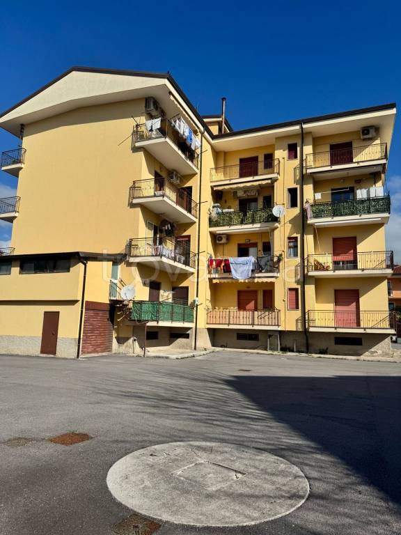 immagine annuncio 1 di 4