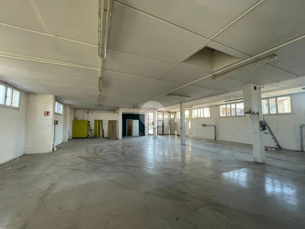 immagine annuncio 1 di 13