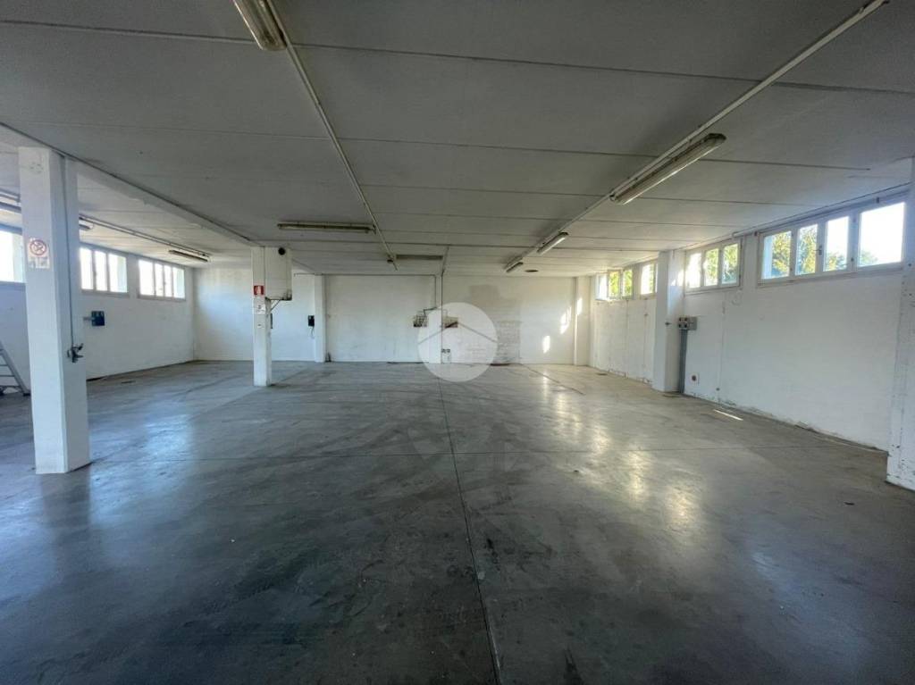 immagine annuncio 2 di 13