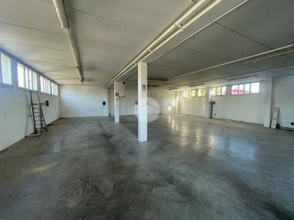 immagine annuncio 6 di 13