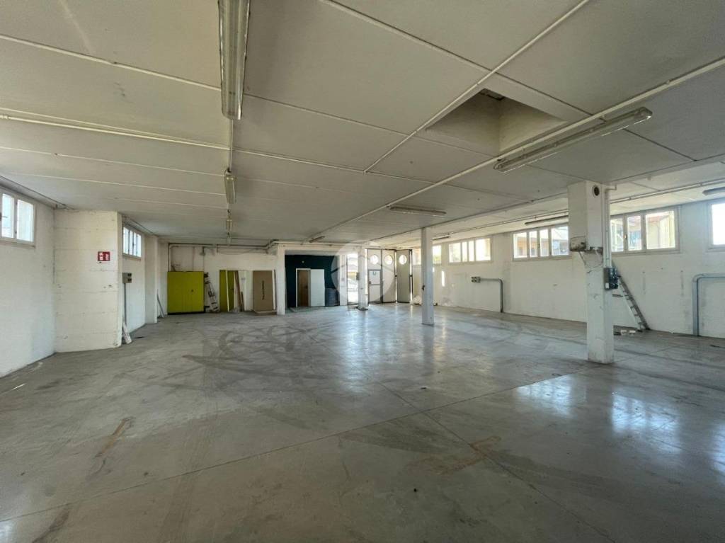 immagine annuncio 9 di 13