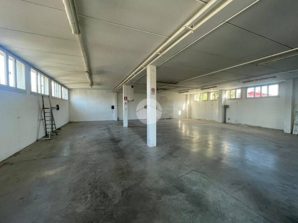 immagine annuncio 12 di 13