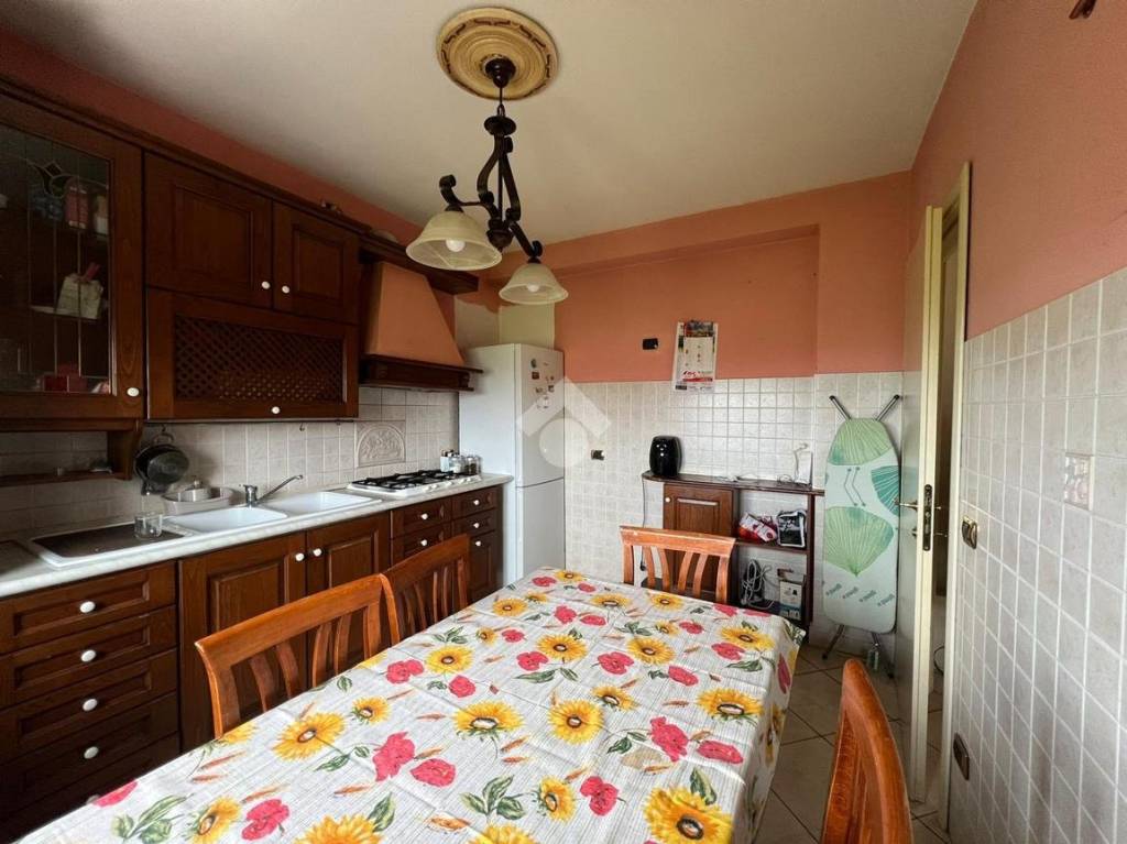 immagine annuncio 5 di 14