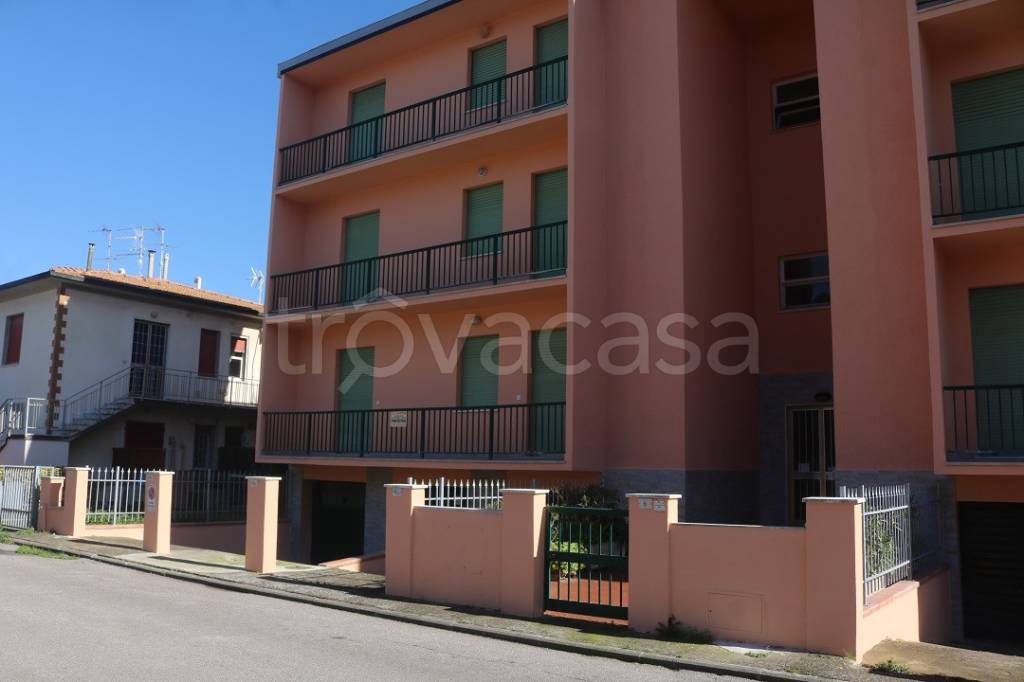 immagine annuncio 1 di 14