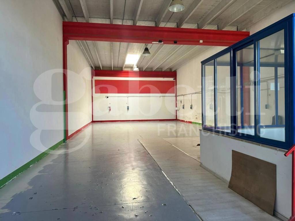 immagine annuncio 3 di 15