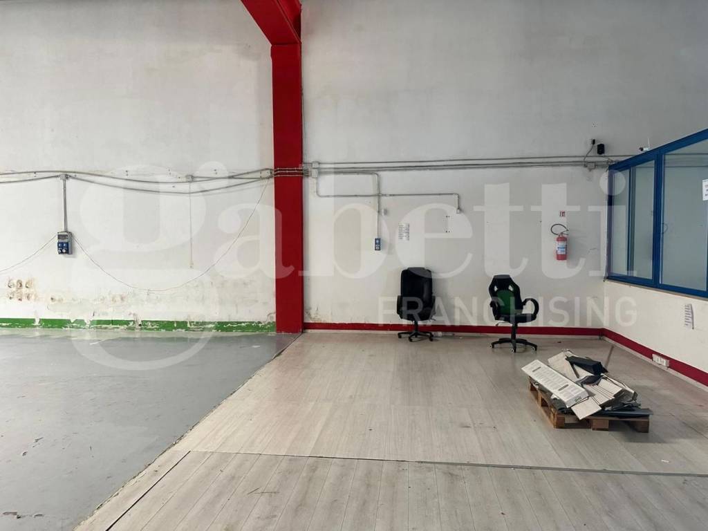 immagine annuncio 4 di 15