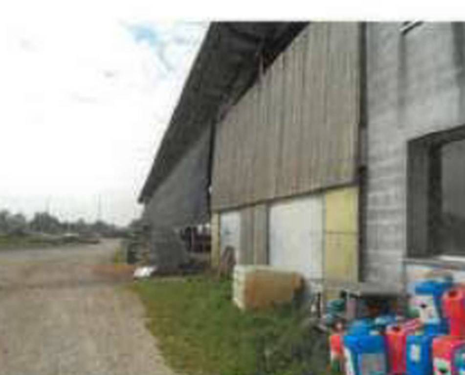 immagine annuncio 8 di 10