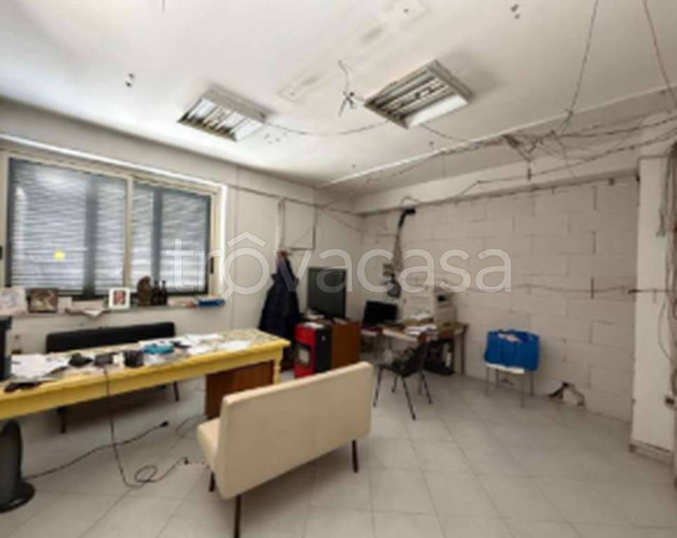 immagine annuncio 4 di 11