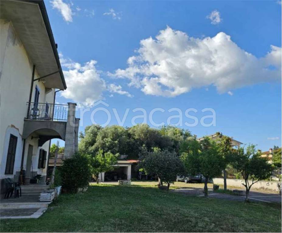 immagine annuncio 1 di 7