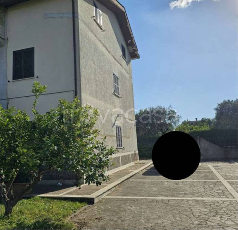 immagine annuncio 4 di 7